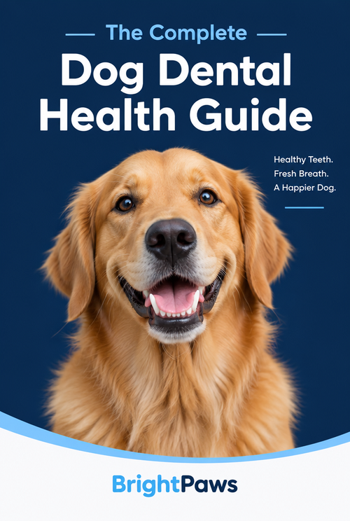Dog Dental Health Guide